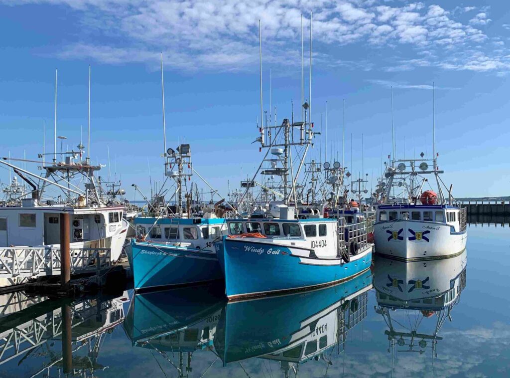 Bateaux de pêche au homard accostés au quai de Meteghan en Nouvelle-Écosse / Lobster fishing boats at the Meteghan wharf in Nova Scotia